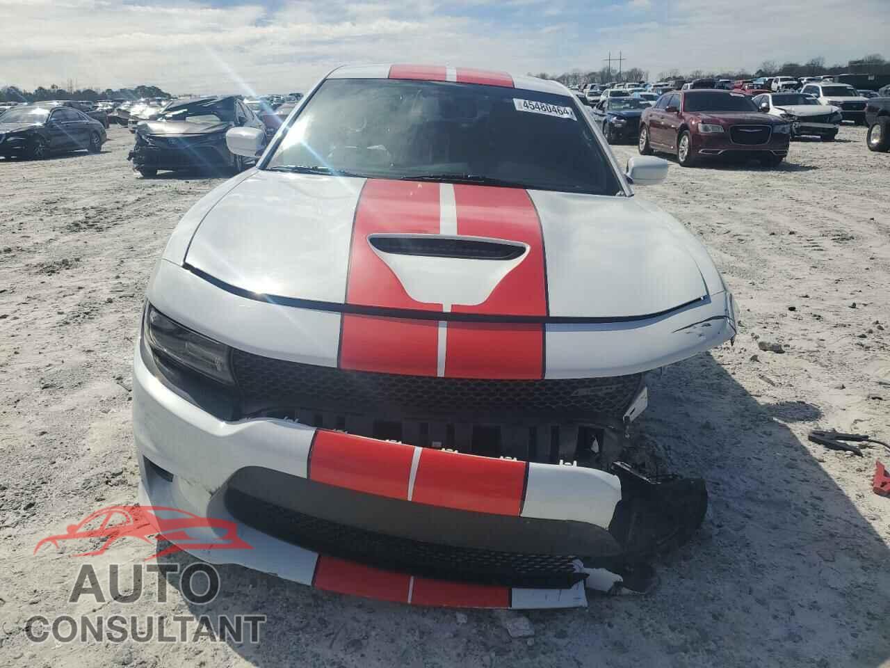 DODGE CHARGER 2020 - 2C3CDXCTXLH234876