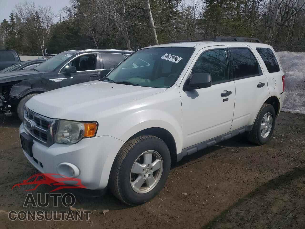FORD ESCAPE 2011 - 1FMCU0DG4BKB75685