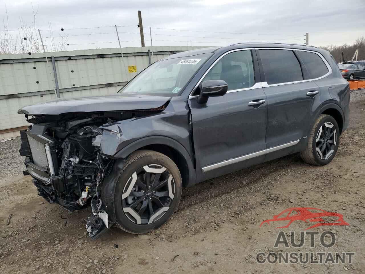 KIA TELLURIDE 2024 - 5XYP6DGC8RG535007
