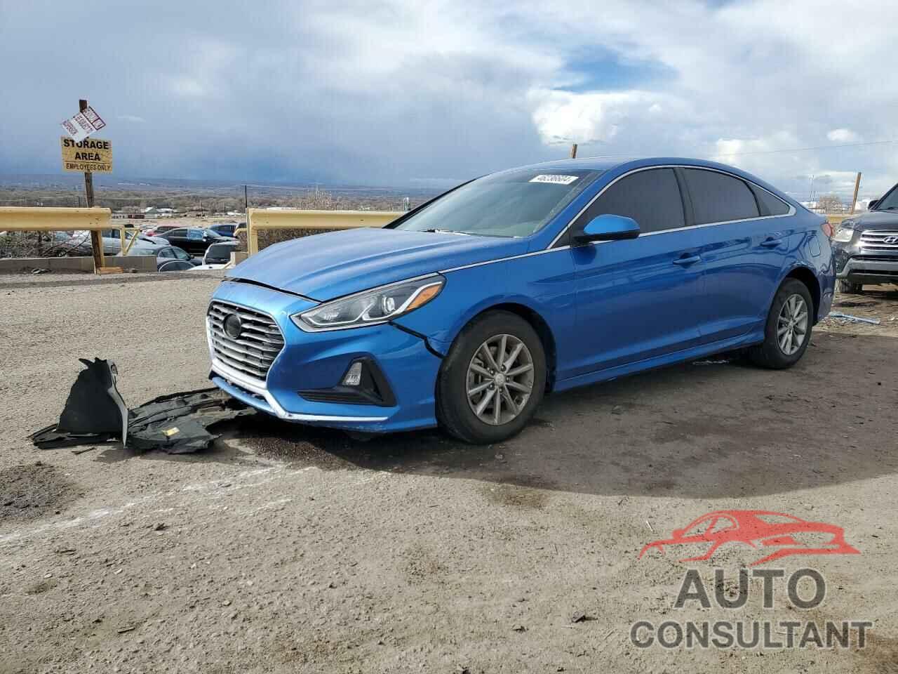 HYUNDAI SONATA 2019 - 5NPE24AF8KH774349
