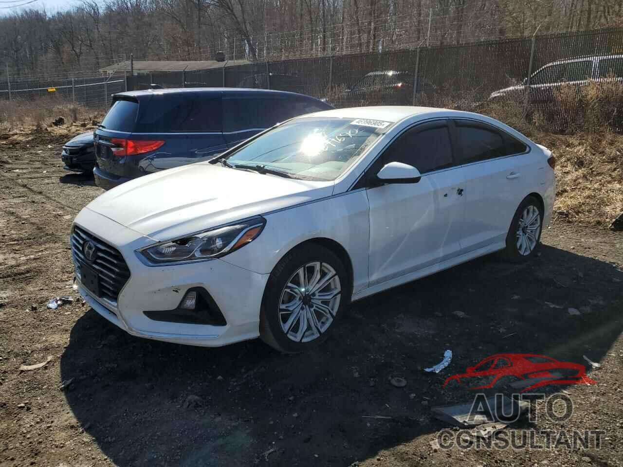 HYUNDAI SONATA 2019 - 5NPE24AF4KH767561