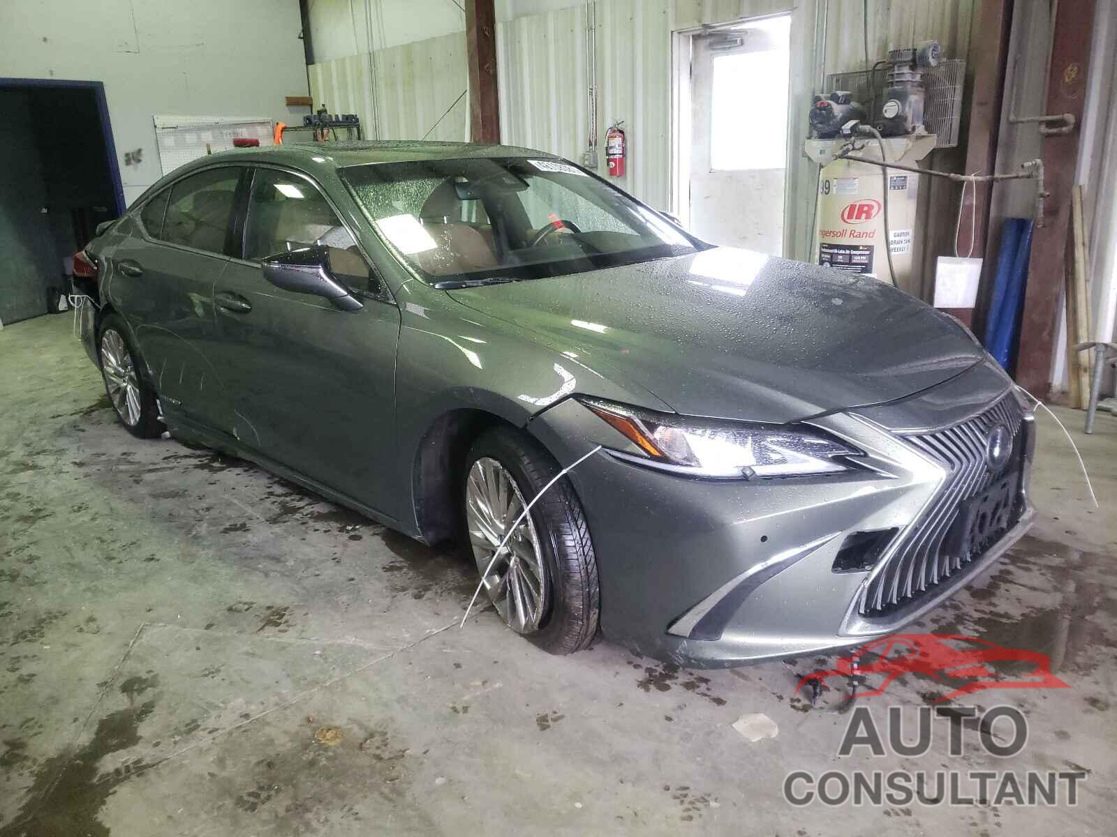 LEXUS ES300 2019 - JTHB21B16K2031855