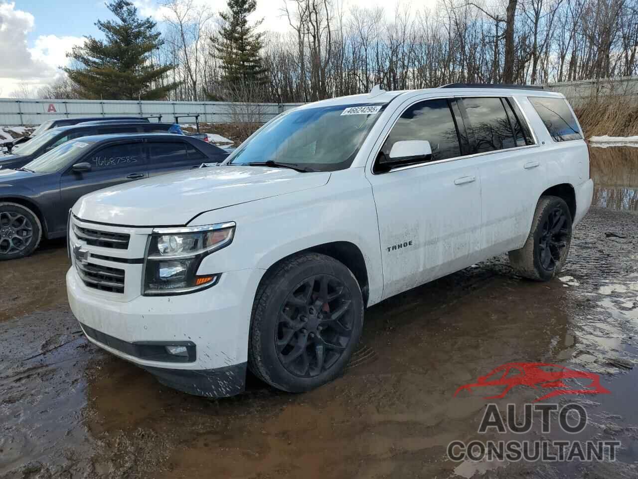 CHEVROLET TAHOE 2019 - 1GNSKBKC8KR392219