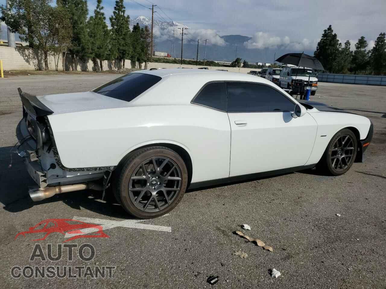 DODGE CHALLENGER 2019 - 2C3CDZBT9KH737505