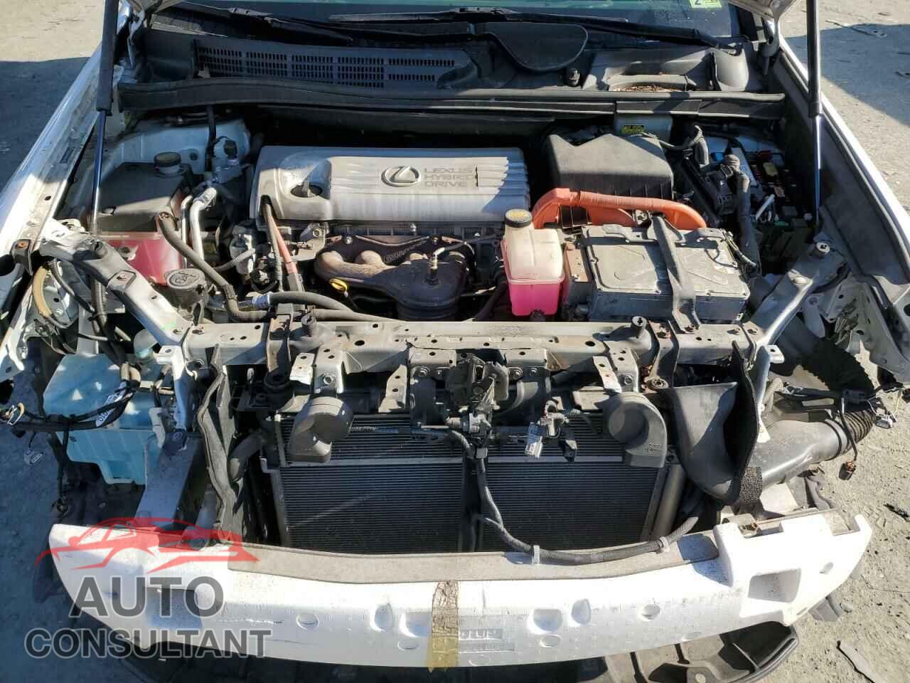 LEXUS HS 2010 - JTHBB1BA1A2006568