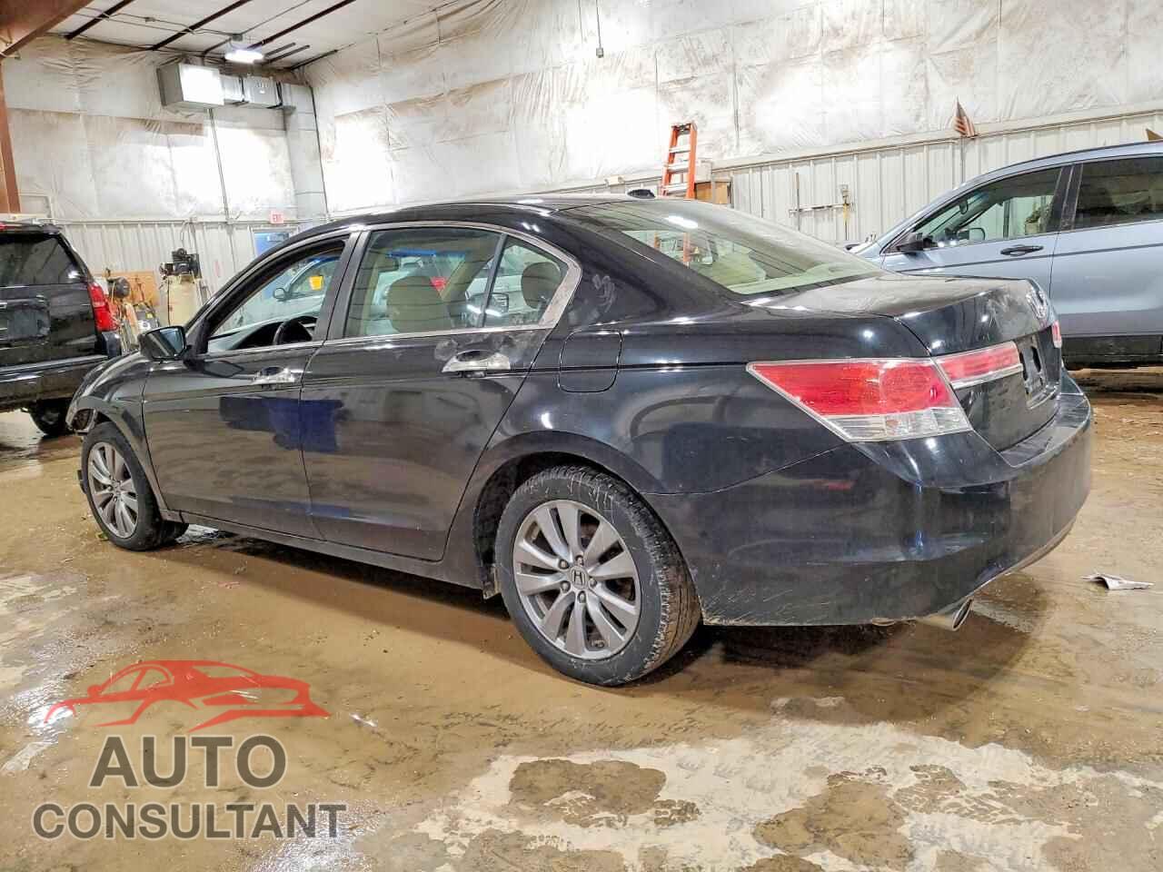 HONDA ACCORD 2011 - 1HGCP3F81BA019078
