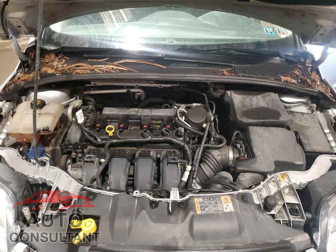 FORD FOCUS 2014 - 1FADP3F2XEL275295