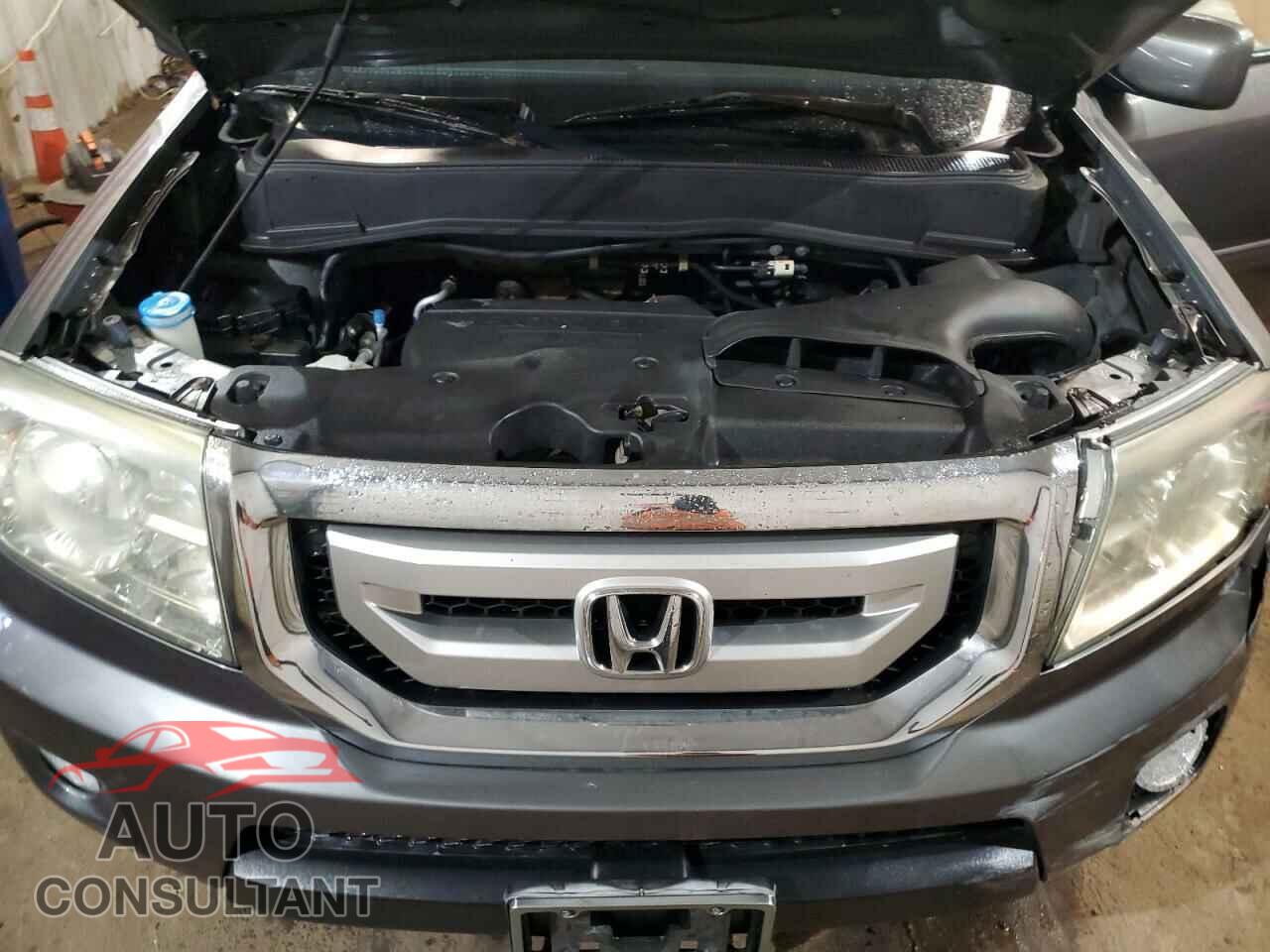 HONDA PILOT 2011 - 5FNYF4H55BB042872