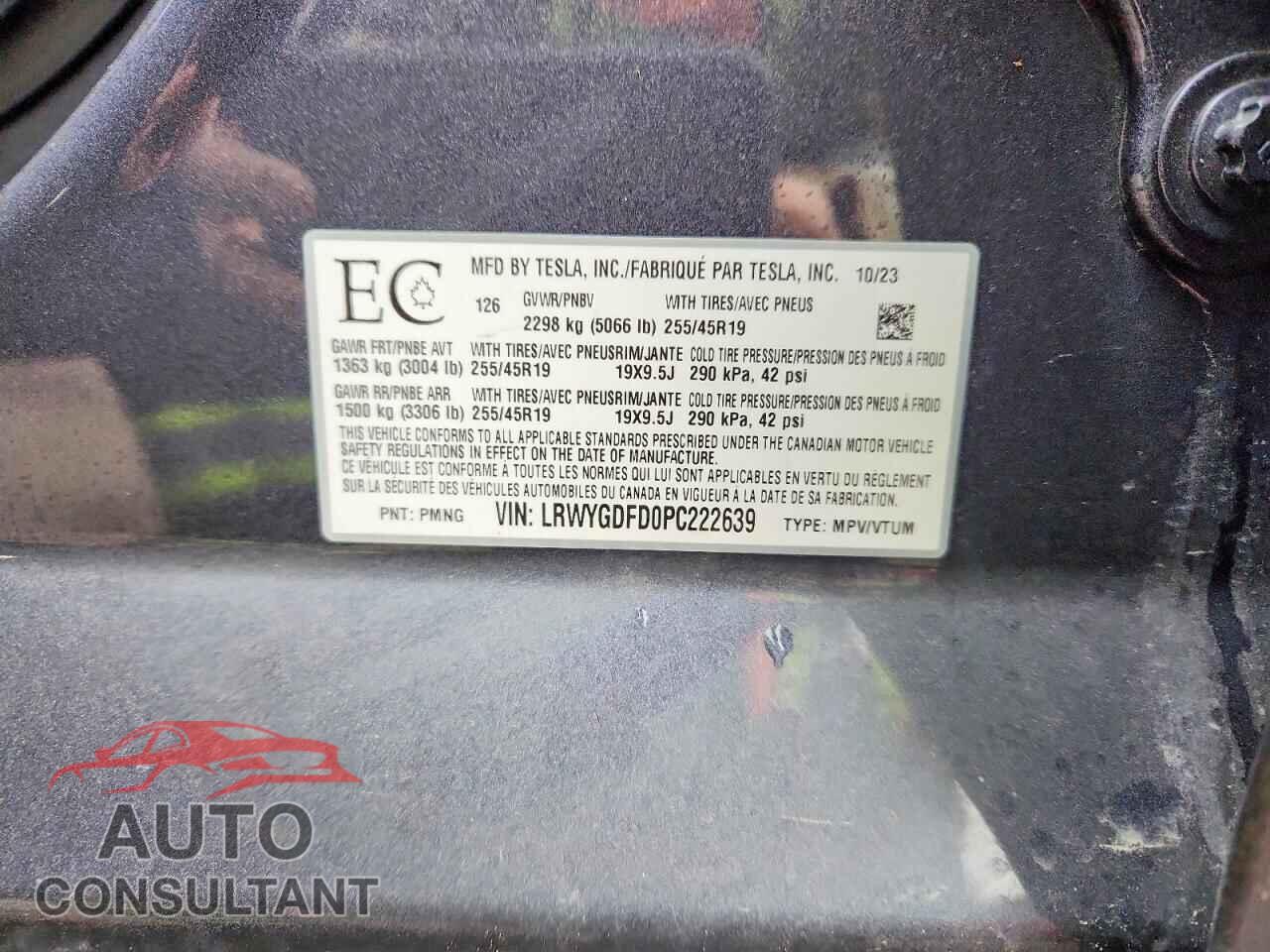 TESLA MODEL Y 2023 - LRWYGDFD0PC222639