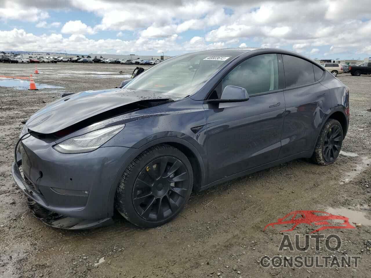 TESLA MODEL Y 2021 - 5YJYGDEE7MF283966
