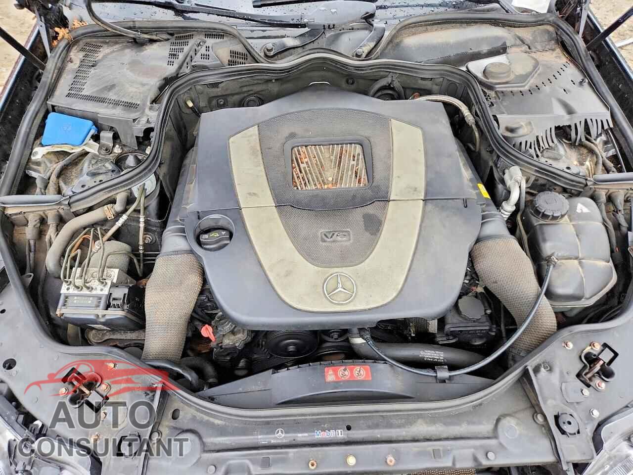 MERCEDES-BENZ E-CLASS 2009 - WDBUF87X19B389006
