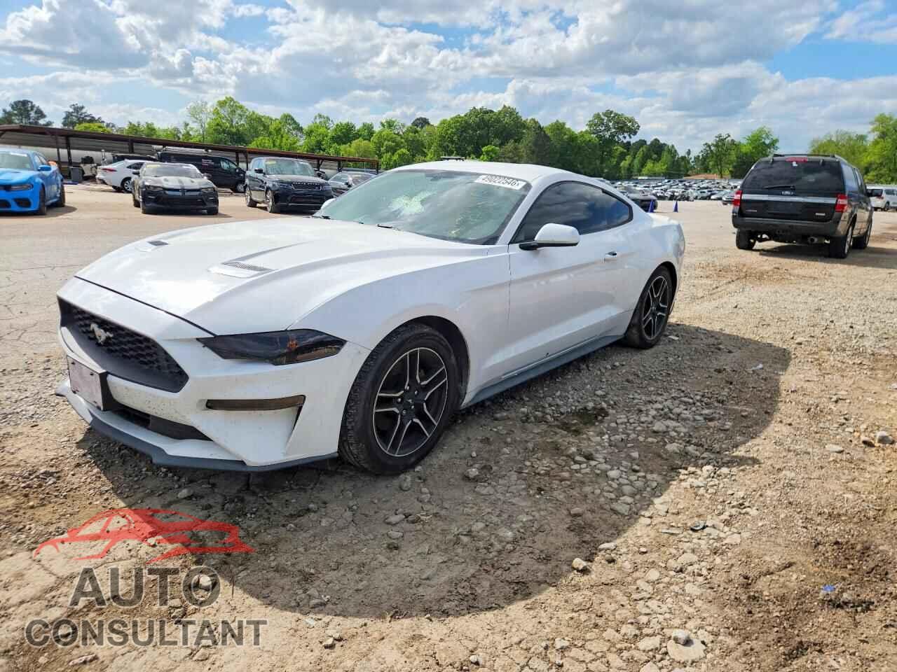 FORD MUSTANG 2019 - 1FA6P8TH3K5169642