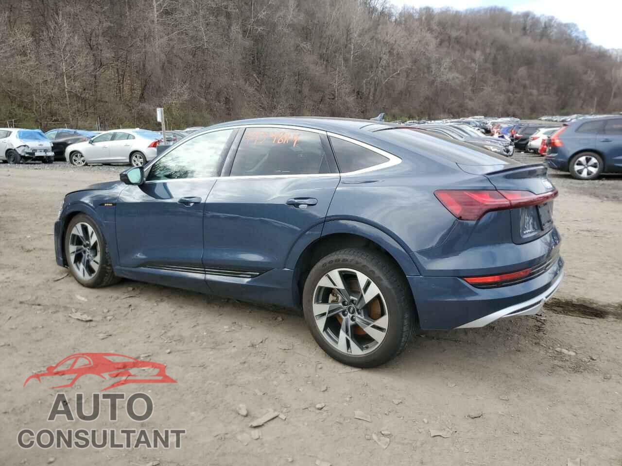 AUDI E-TRON 2021 - WA13AAGE0MB019623
