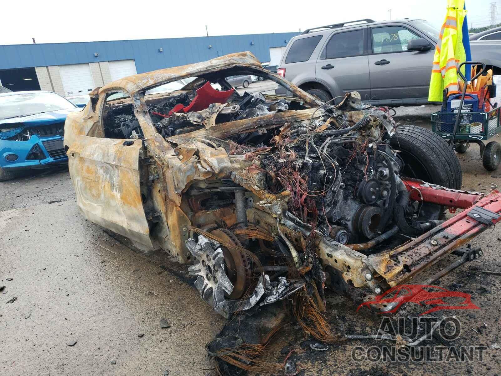 FORD MUSTANG 2019 - 1FA6P8CF3K5178100