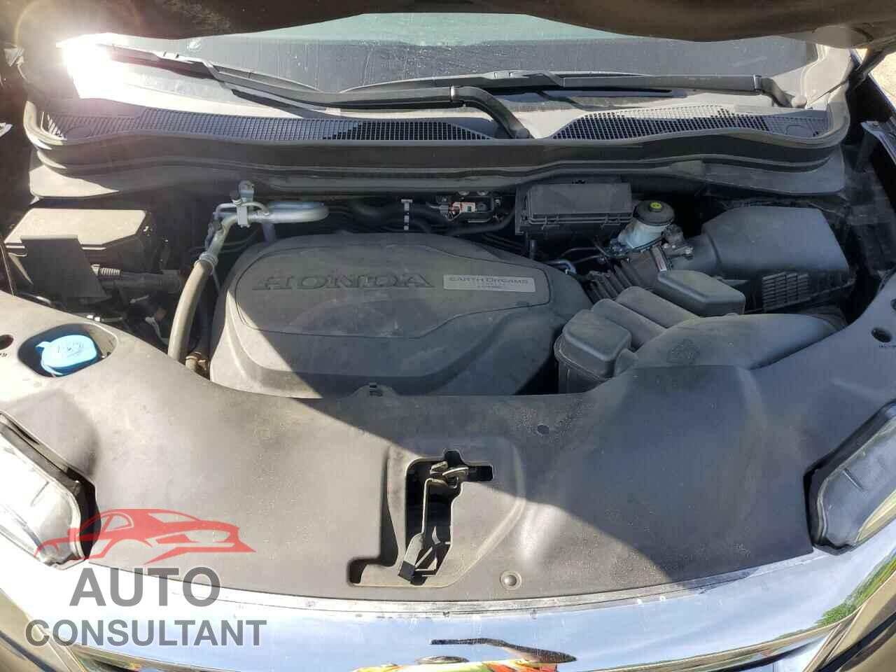 HONDA PILOT 2019 - 5FNYF5H59KB042850