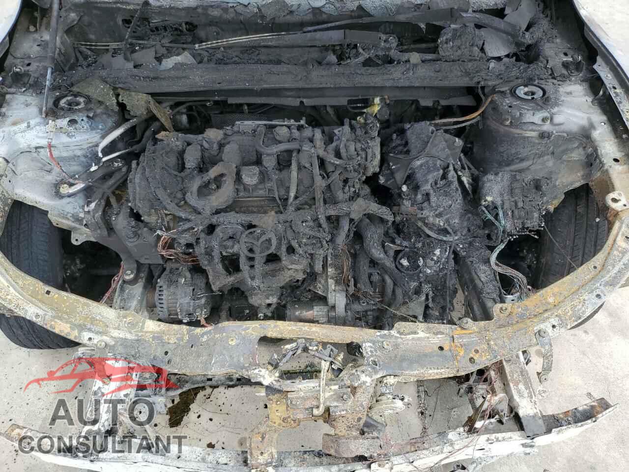 MAZDA CX-50 PREF 2024 - 7MMVABBM7RN164831