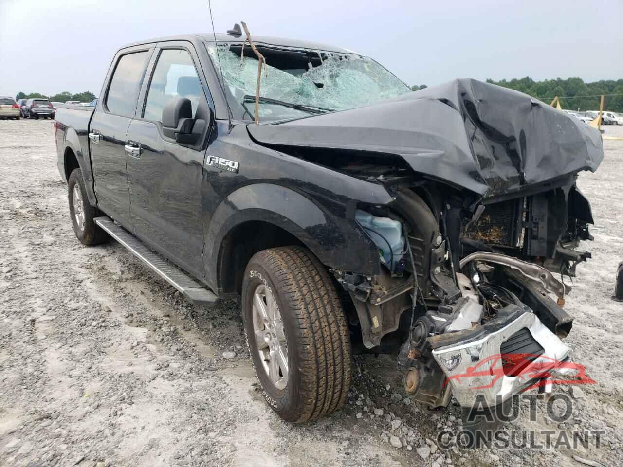 FORD F-150 2019 - 1FTEW1EP5KFB57023