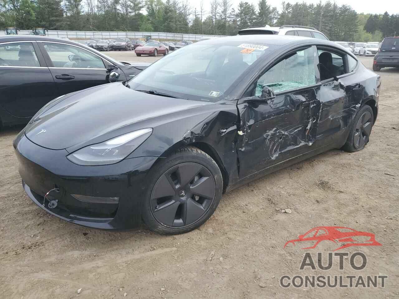 TESLA MODEL 3 2021 - 5YJ3E1EB3MF902647