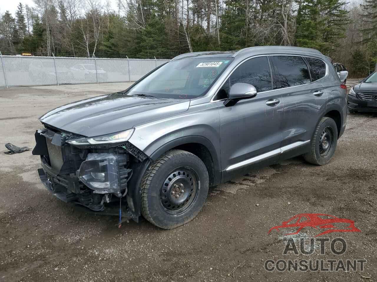 HYUNDAI SANTA FE 2019 - 5NMS3CAA9KH077185