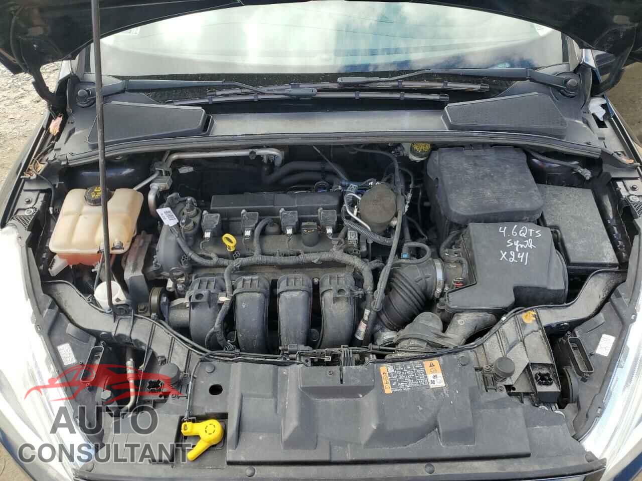 FORD FOCUS 2016 - 1FADP3J20GL236063