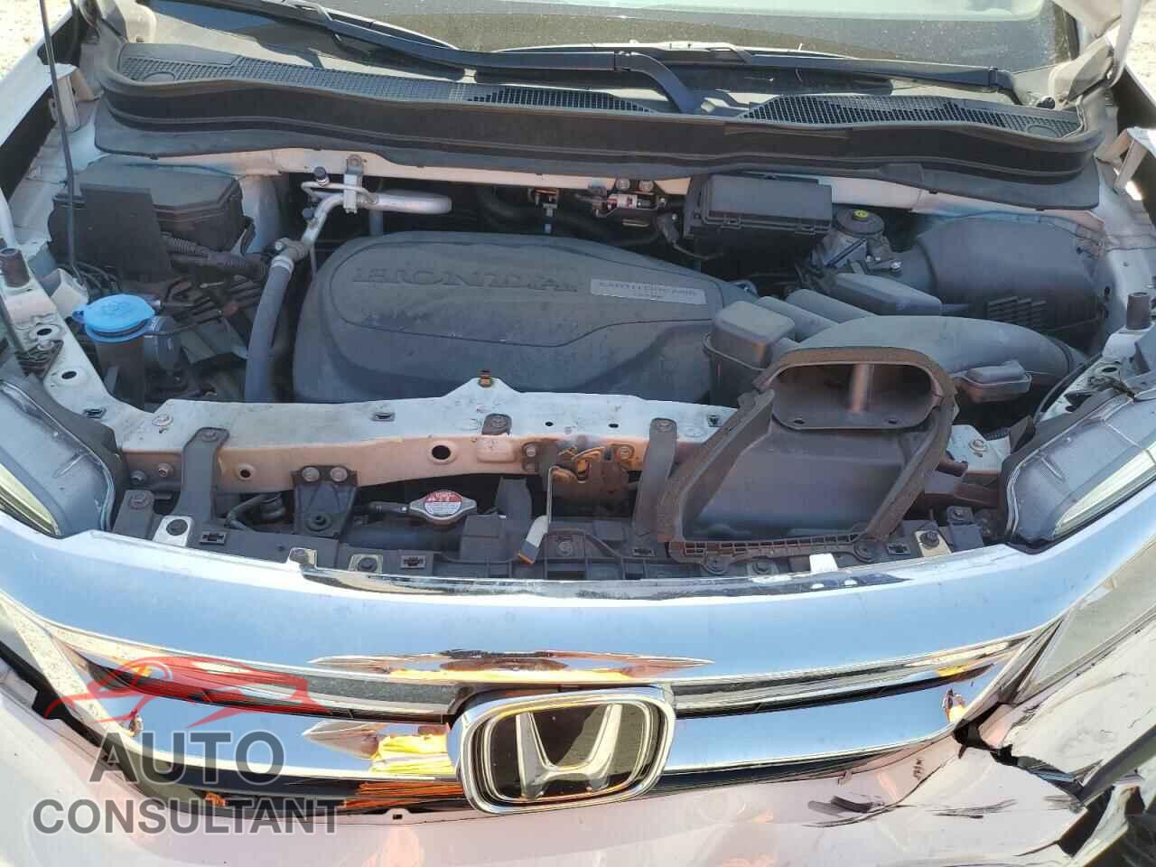 HONDA PILOT 2019 - 5FNYF6H96KB057122