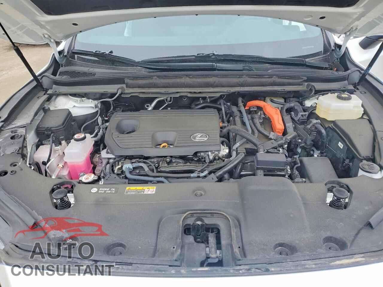 LEXUS UNKNOWN 2025 - 2T2BBMCA1SC079116
