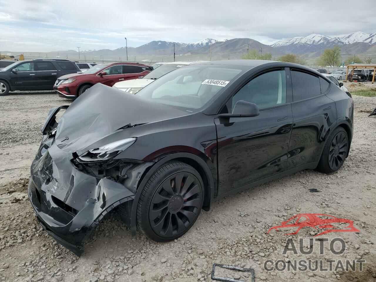 TESLA MODEL Y 2024 - 7SAYGDEFXRF022186