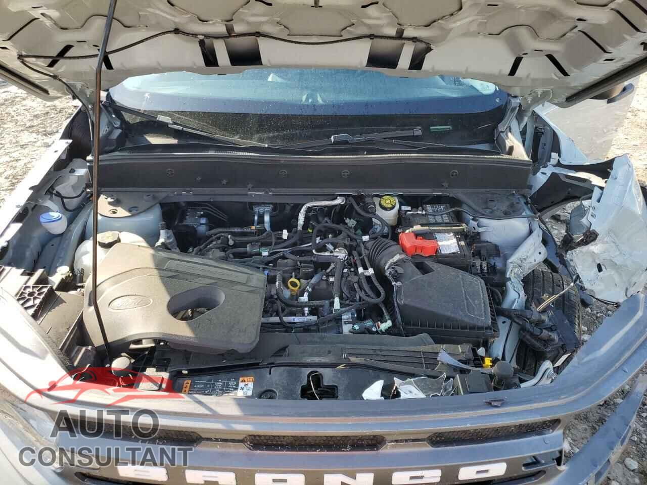 FORD BRONCO 2021 - 3FMCR9B69MRA08446
