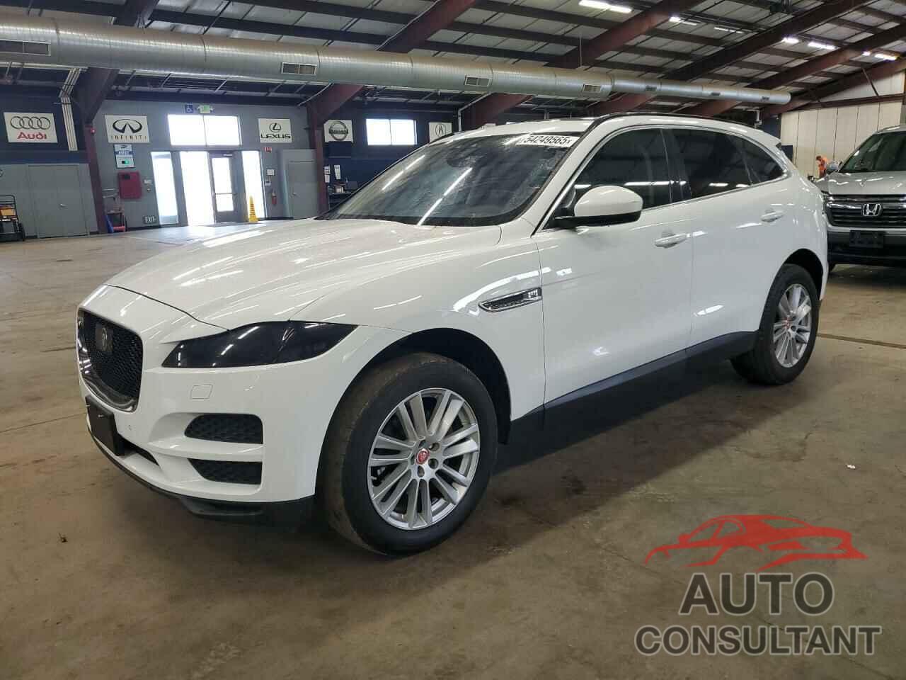 JAGUAR F-PACE 2019 - SADCK2FX7KA362285