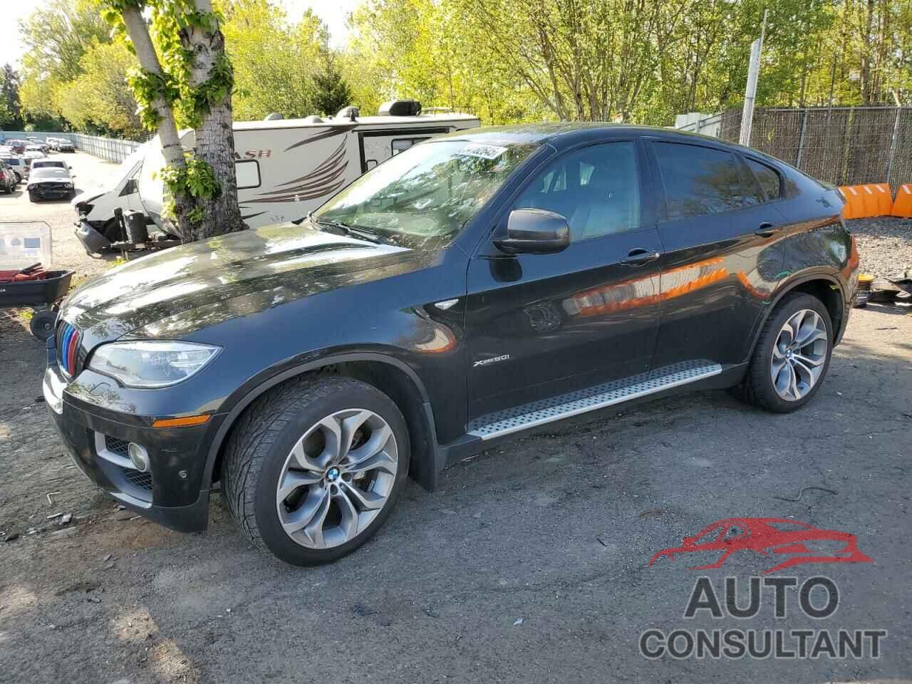 BMW X6 2013 - 5UXFG8C5XDL591761
