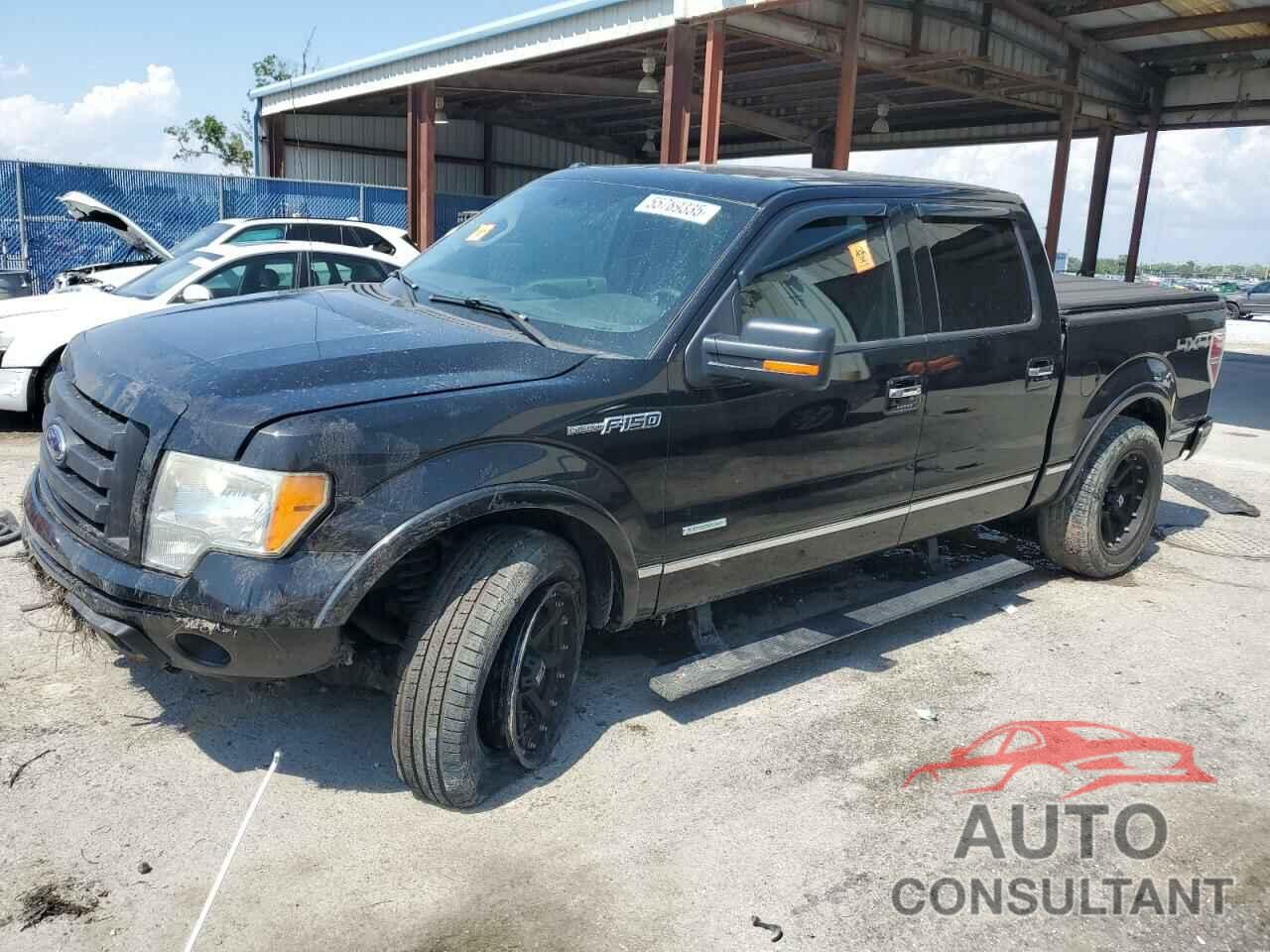 FORD F-150 2011 - 1FTFW1ET2BFA65269