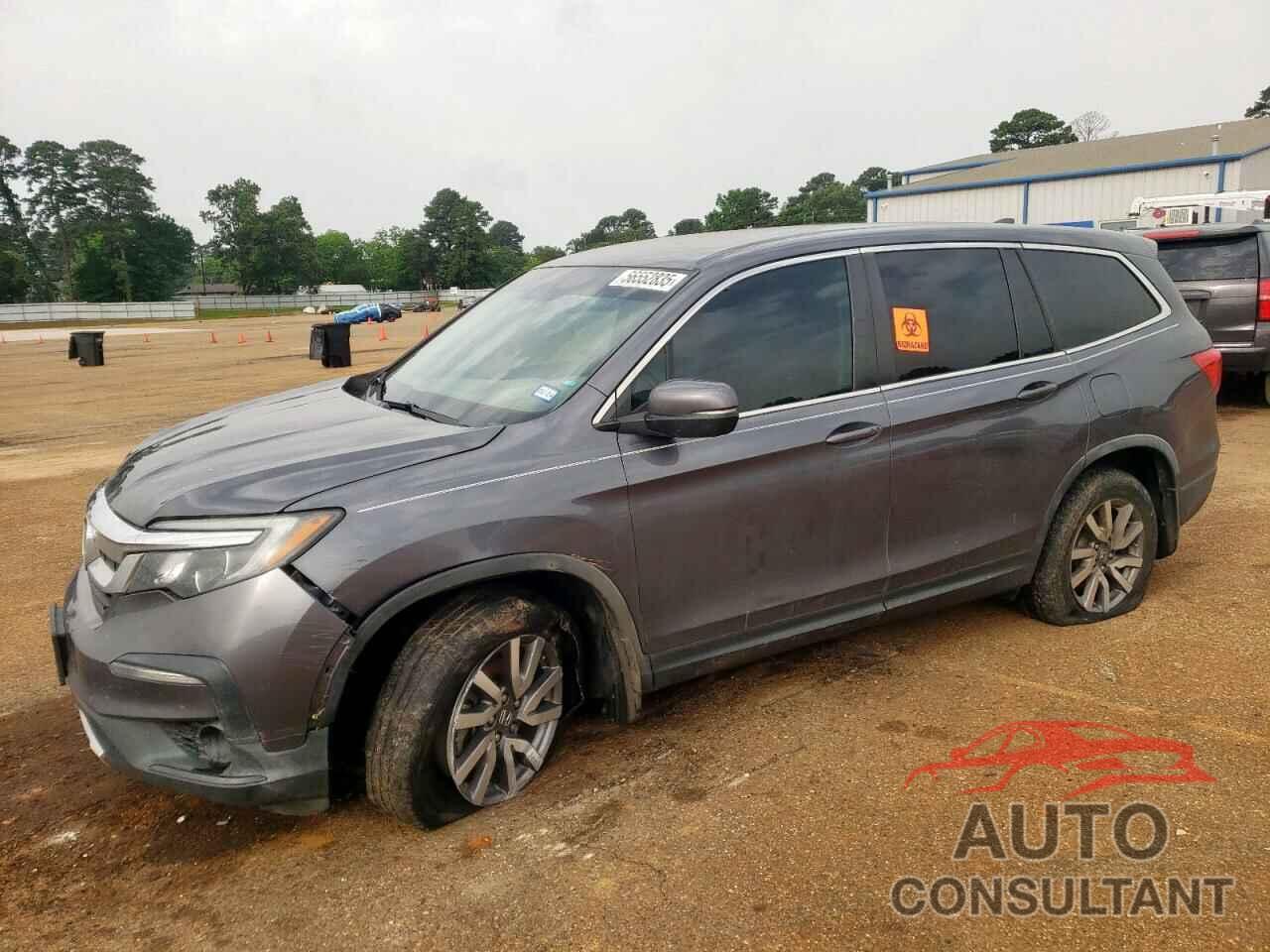 HONDA PILOT 2019 - 5FNYF5H34KB028496