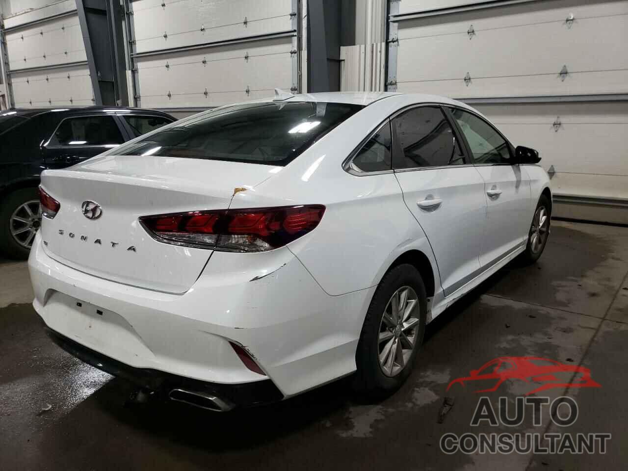 HYUNDAI SONATA 2019 - 5NPE24AF8KH775890