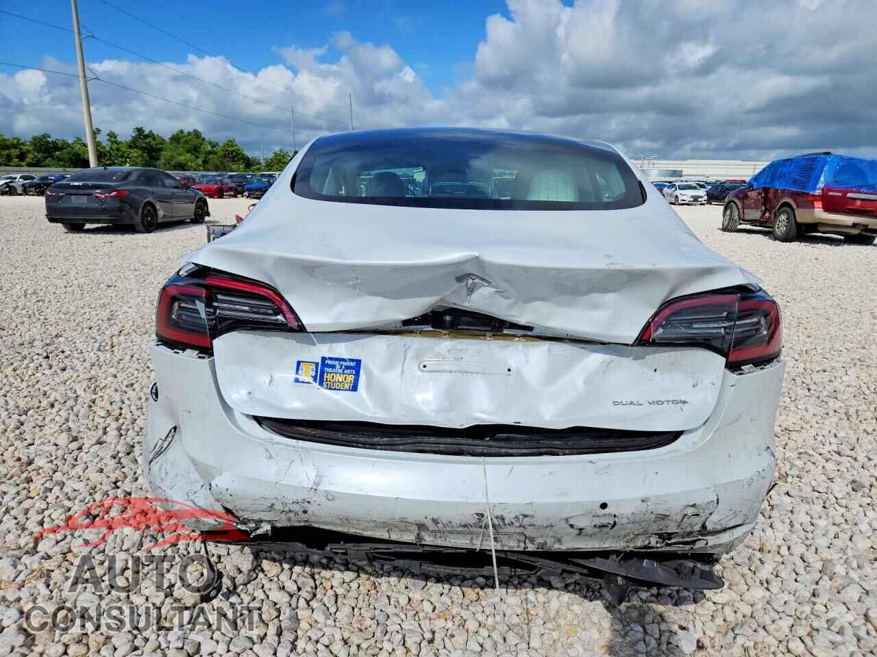 TESLA MODEL 3 2020 - 5YJ3E1EB0LF719964