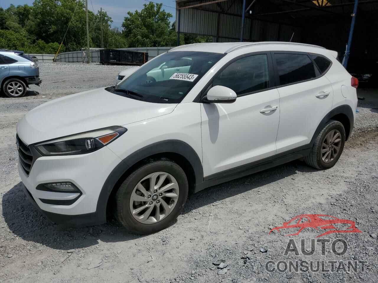 HYUNDAI TUCSON 2016 - KM8J33A22GU024327