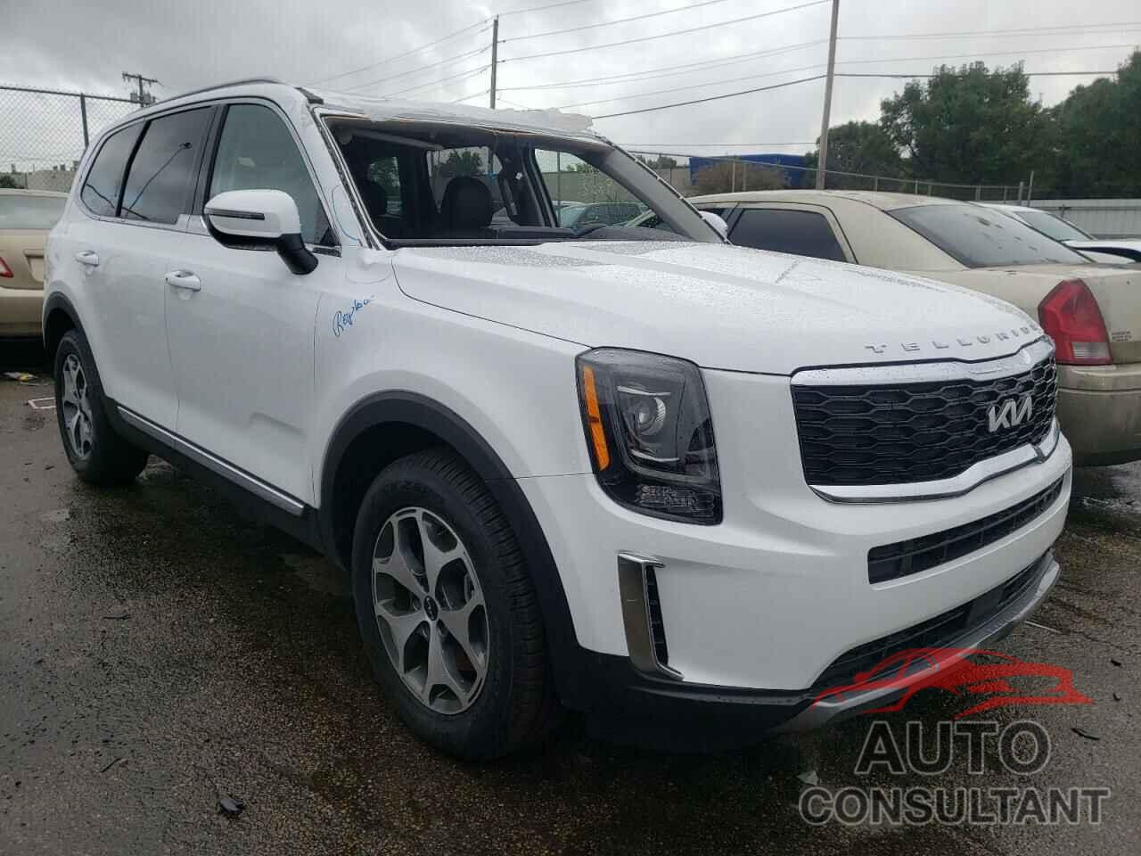 KIA TELLURIDE 2022 - 5XYP34HC3NG291445