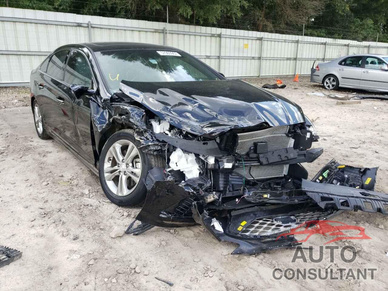 HYUNDAI SONATA 2019 - 5NPE34AFXKH802990