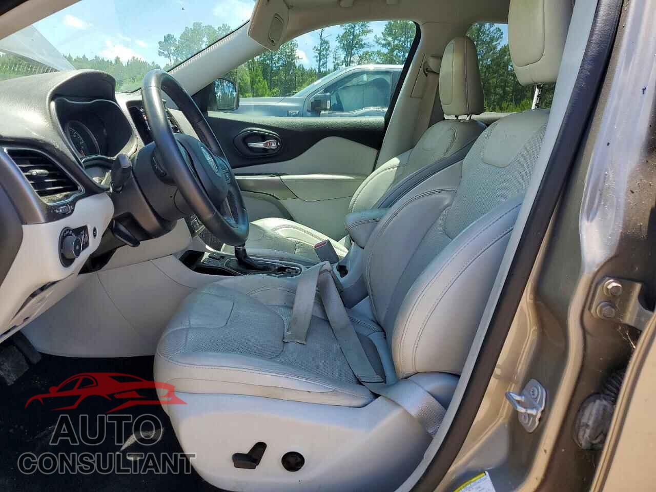 JEEP CHEROKEE 2019 - 1C4PJLDX7KD193473