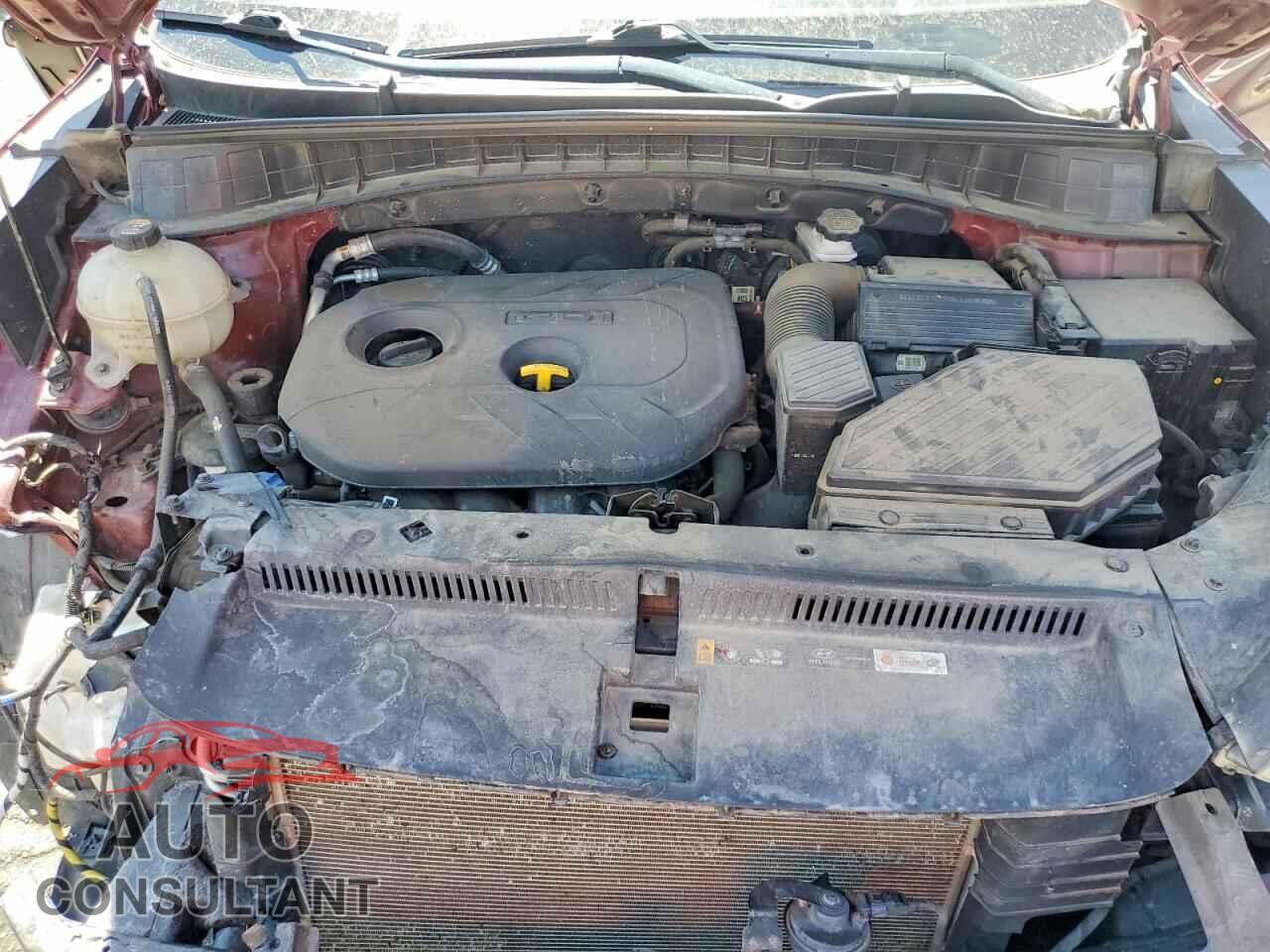 HYUNDAI TUCSON 2017 - KM8J3CA41HU453963