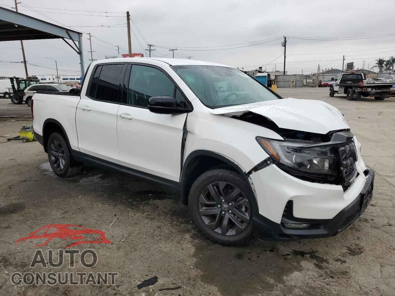 HONDA RIDGELINE 2024 - 5FPYK3F1XRB008840