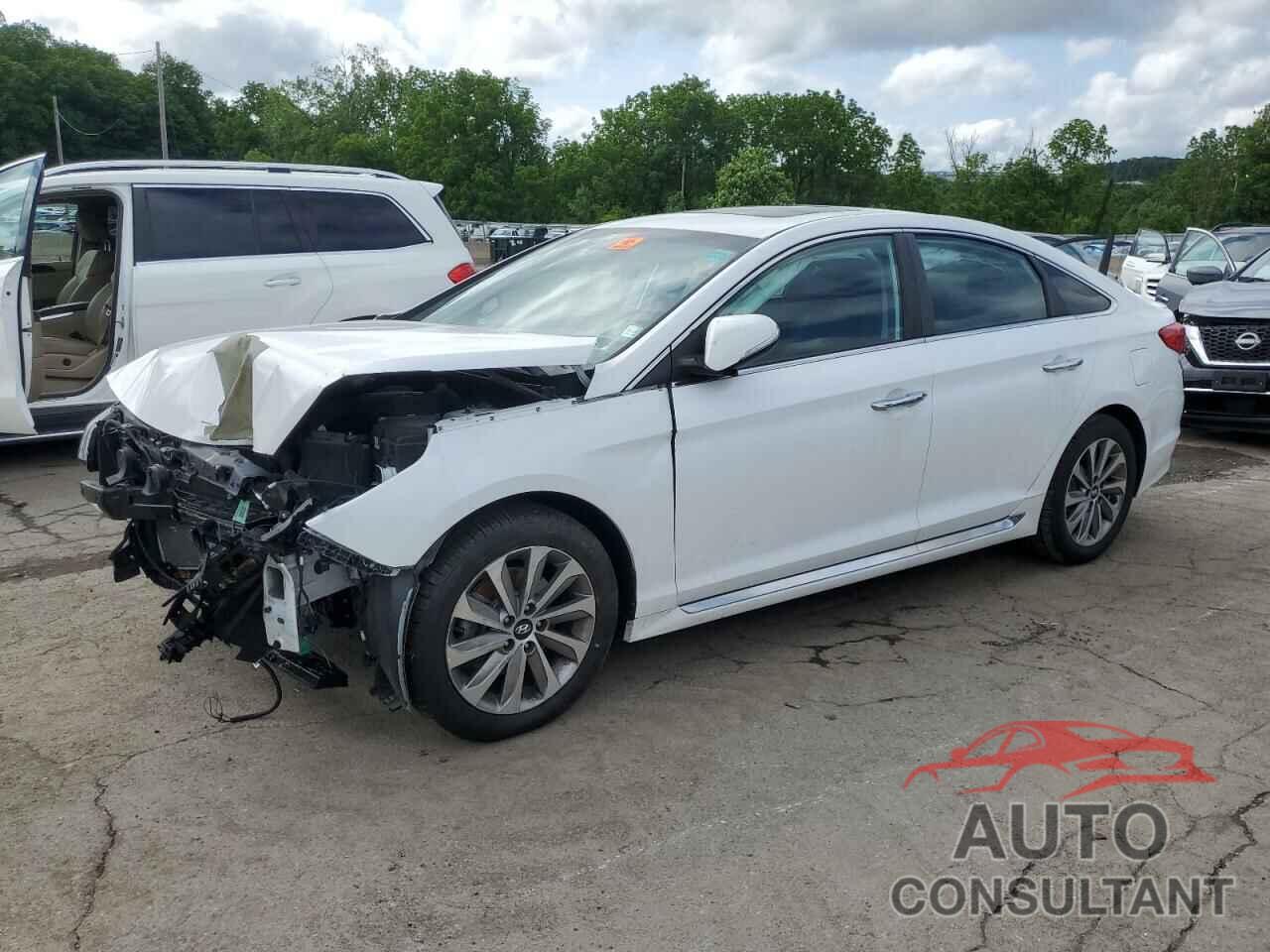 HYUNDAI SONATA 2016 - 5NPE34AF1GH394192