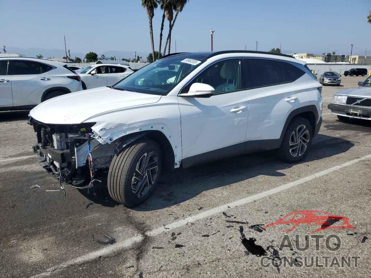HYUNDAI TUCSON 2025 - KM8JEDD14SU327203