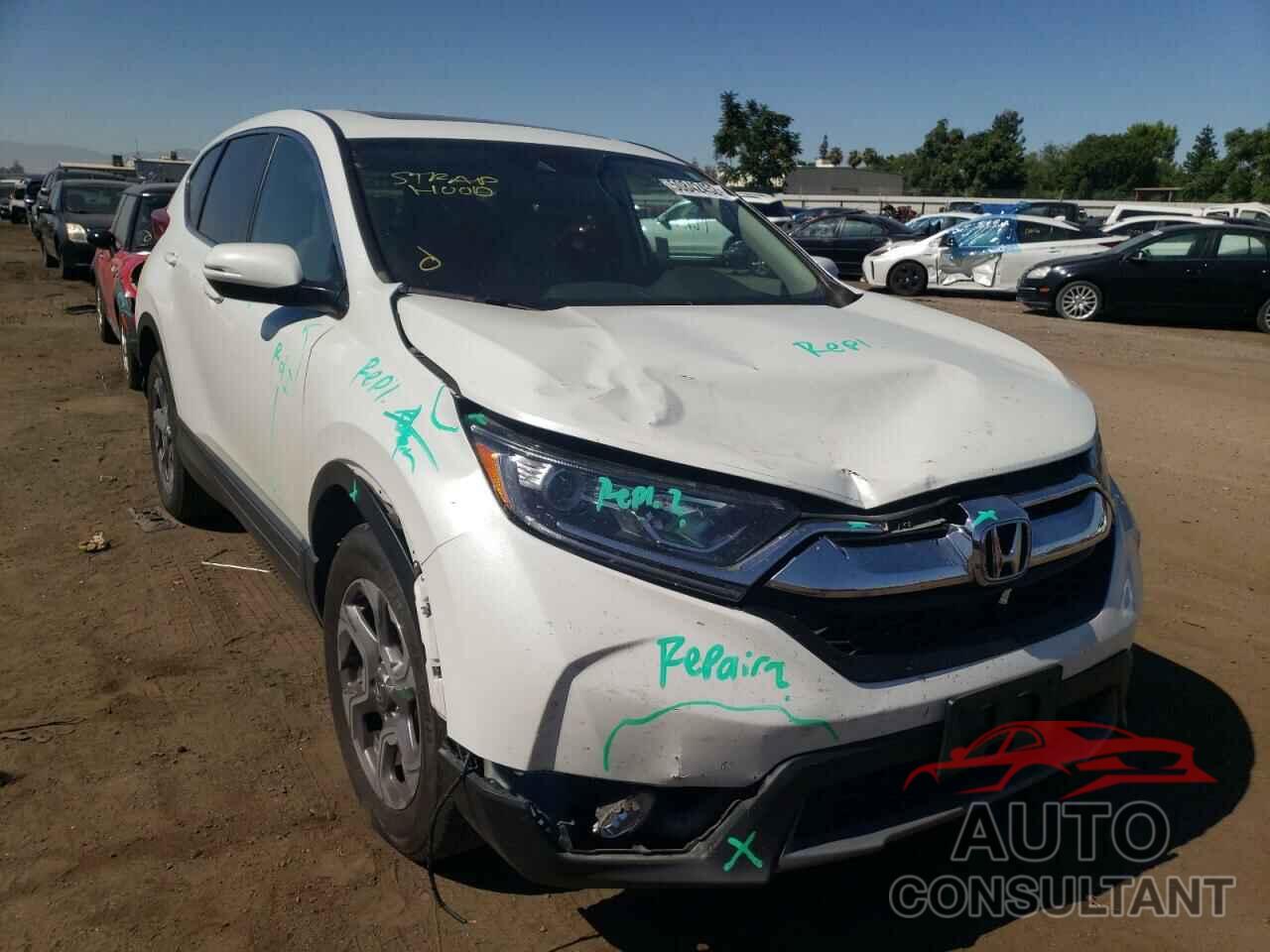 HONDA CRV 2019 - 7FARW2H88KE059706
