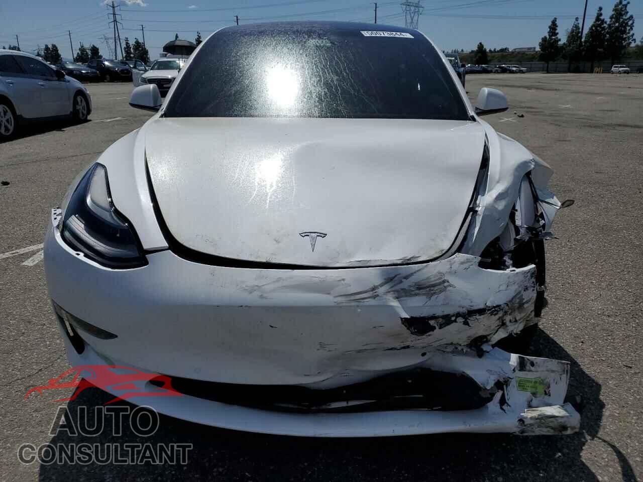 TESLA MODEL 3 2021 - 5YJ3E1EA8MF100246