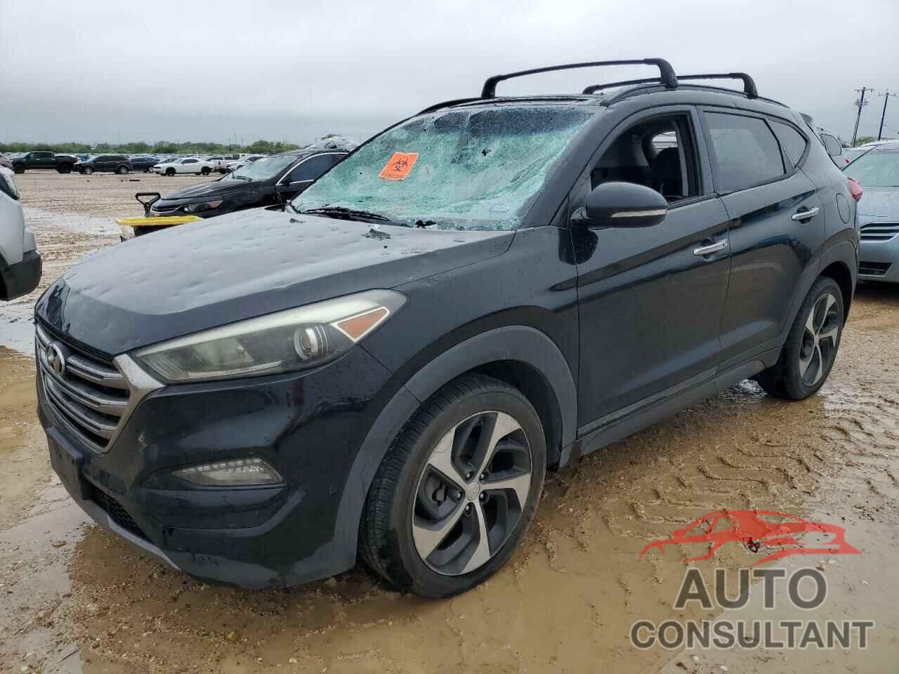 HYUNDAI TUCSON 2016 - KM8J33A26GU266831