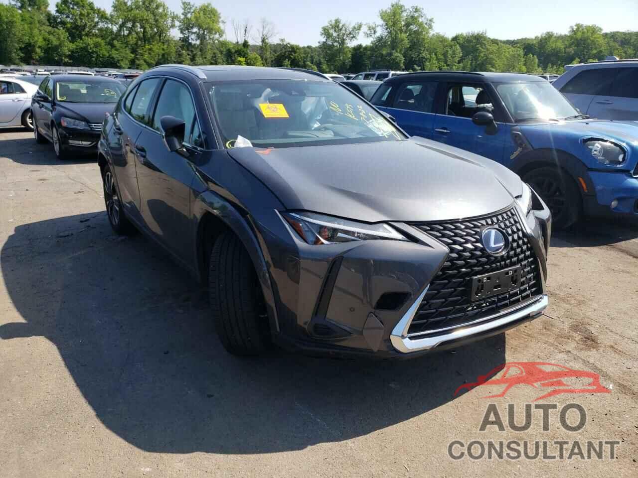 LEXUS UX 250H BA 2022 - JTHP9JBH7N2060574