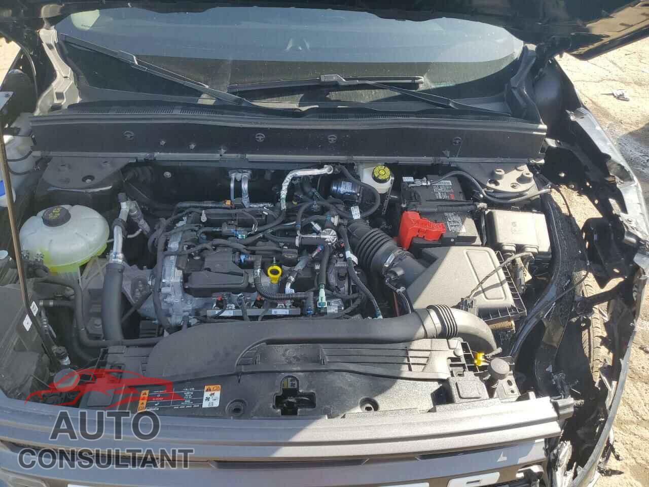 FORD BRONCO 2024 - 3FMCR9B63RRF12482