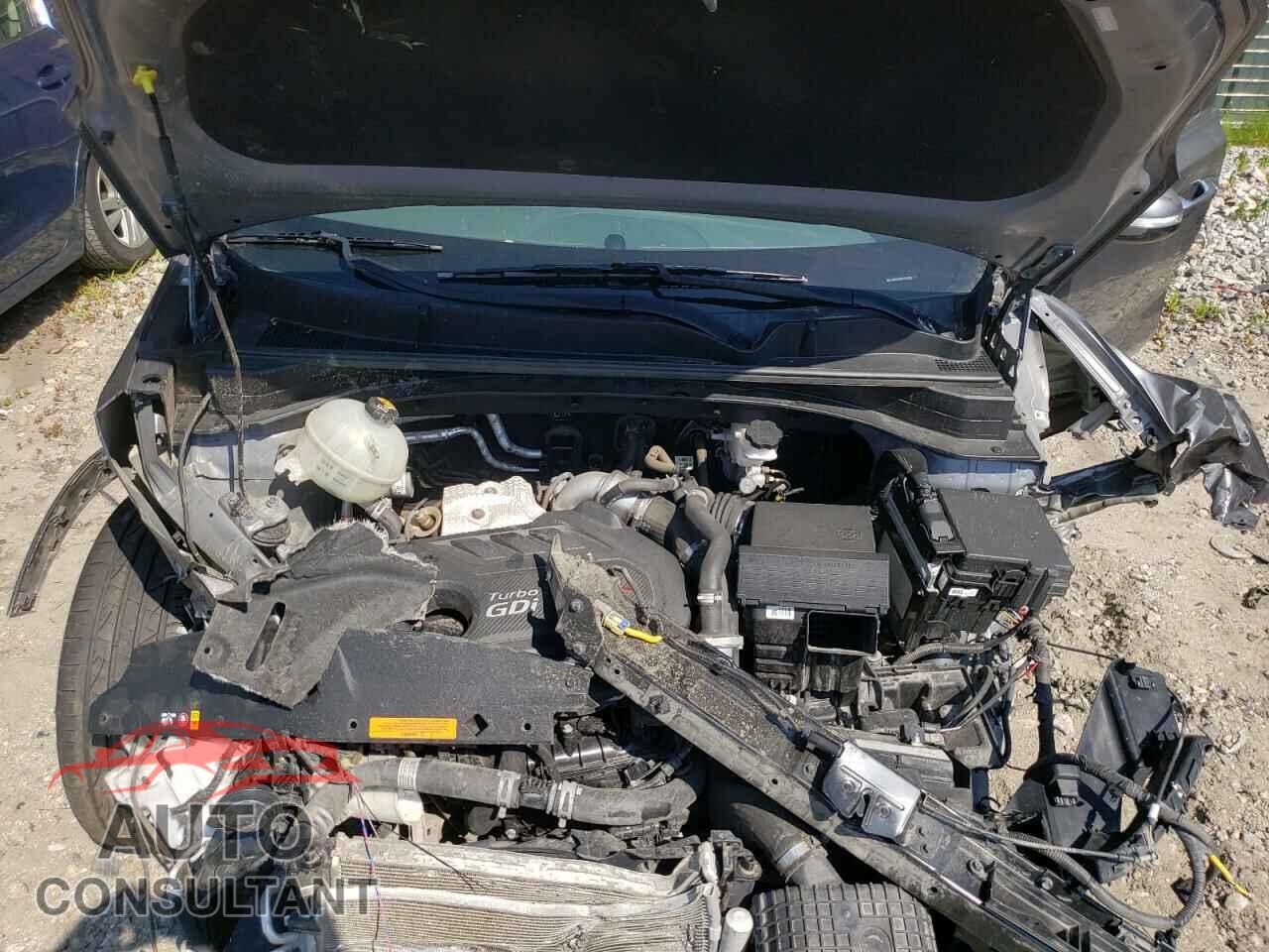 KIA SPORTAGE 2017 - KNDPRCA62H7204388