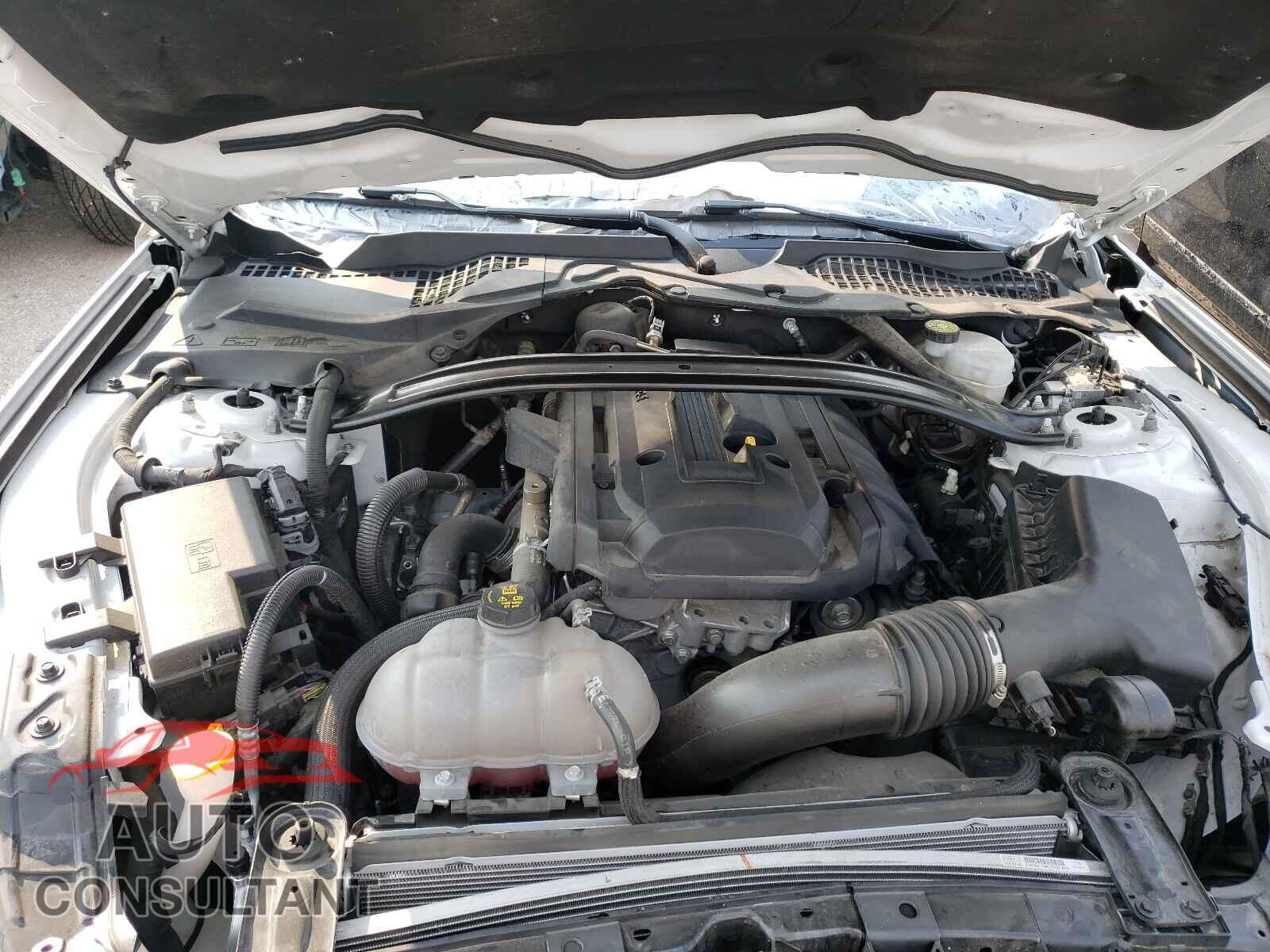 FORD MUSTANG 2019 - 1FA6P8TH9K5178152