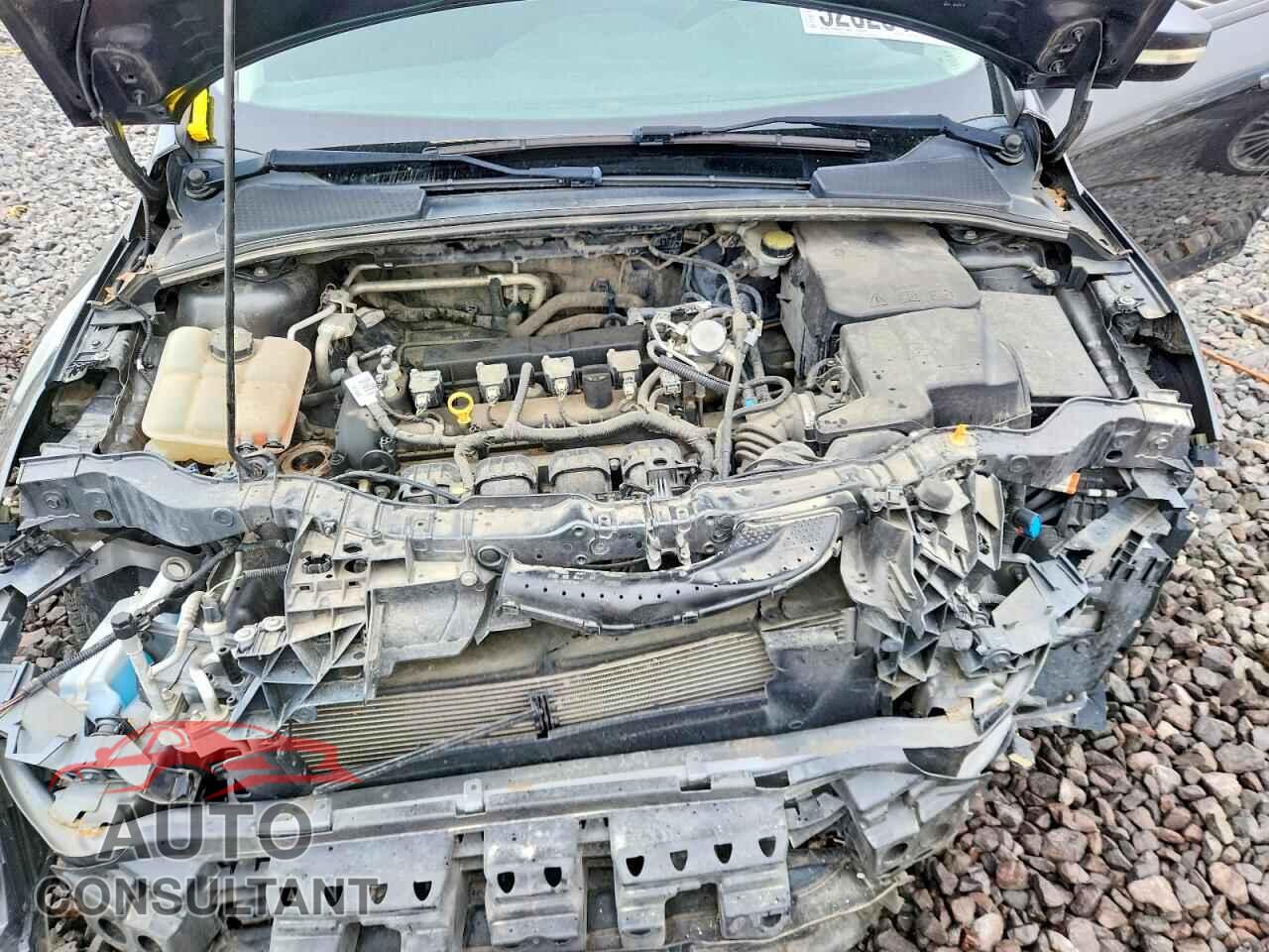 FORD FOCUS 2016 - 1FADP3F21GL403135